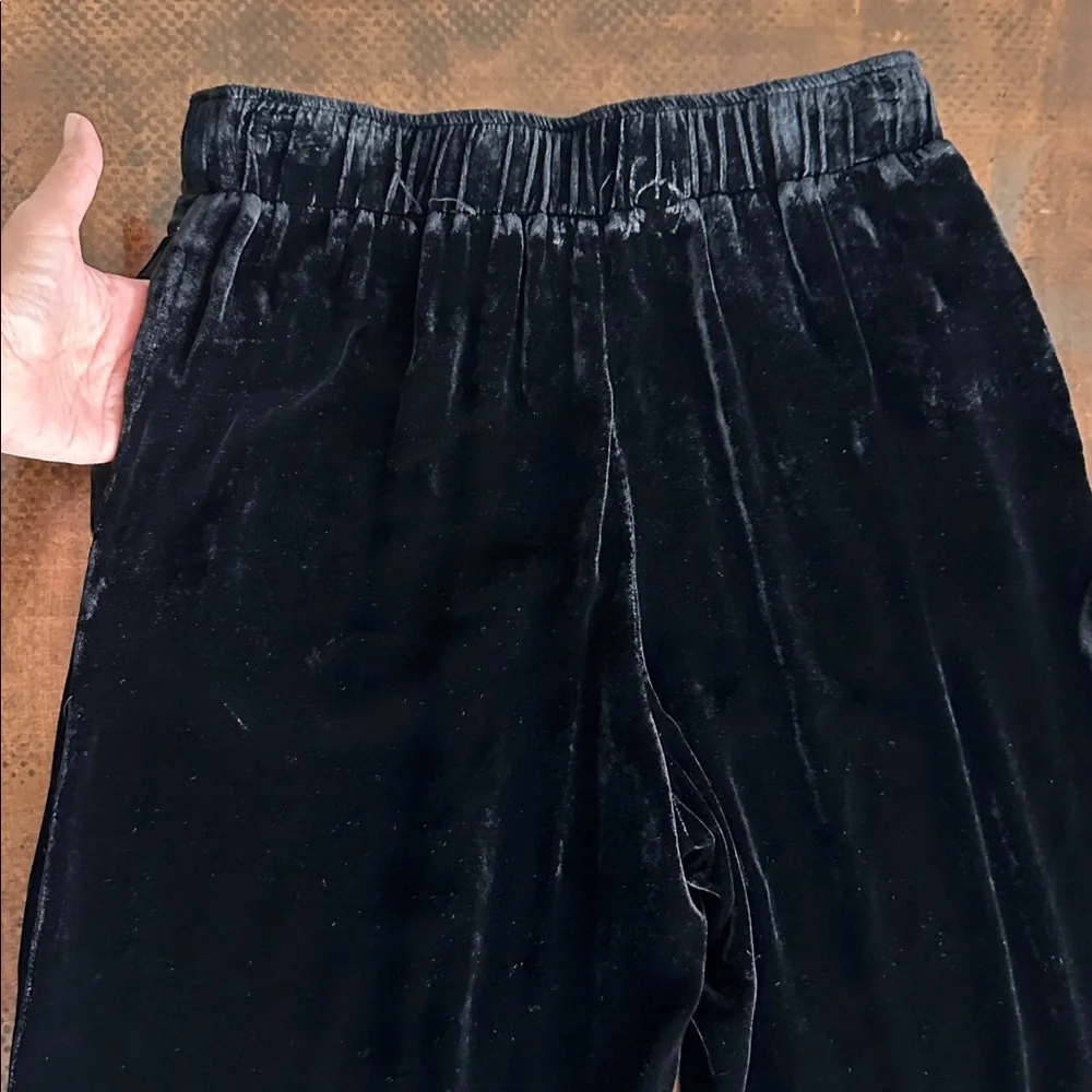 JOHNNY WAS‎ Luciana Seamed Wide Leg Velvet Pant Embroidered Butterflies Size XS